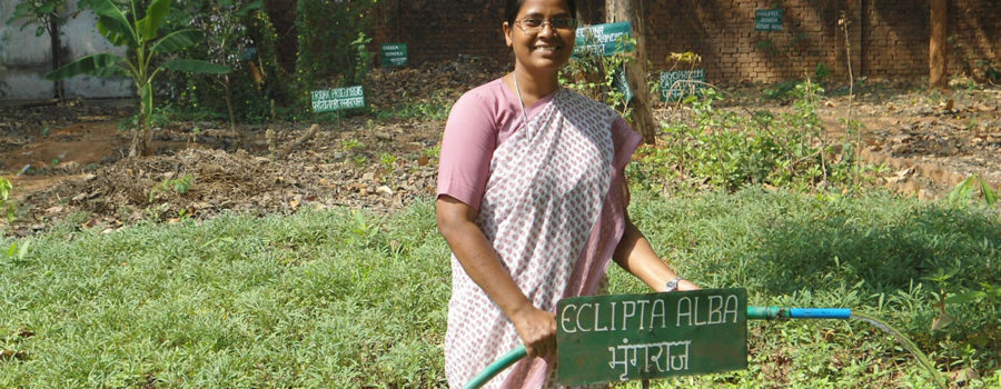 Sr. Pushpa caring for the herbal plants in her garden